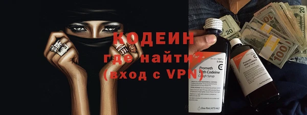 прущие грибы Чердынь