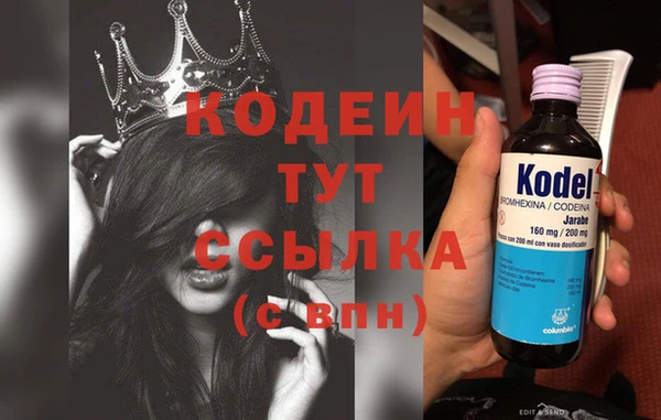 СК Каменка